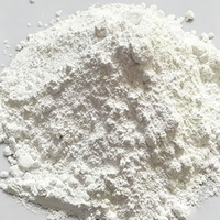 Hydroxyde de Calcium en Poudre Haute Pureté Ca(OH)2 95% Chaux Hydratée pour l'Exploitation Minière, l'Adaptation du PH et les Matériaux de Construction