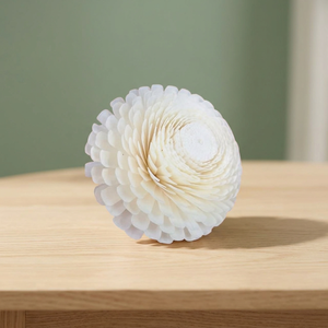 Handmade 15cm Sola Wood Flowers Artificial Dried <b>Reed</b> <b>Diffuser</b> Eco-Friendly Home Decor Graduation Wedding New Year Father's Day - Product Image 2