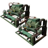 Refroidisseur d'eau de mer ultra-basse température 10HP 15HP 20HP 30HP pour applications marines avec télécommande et unité de condensation moteur/pompe
