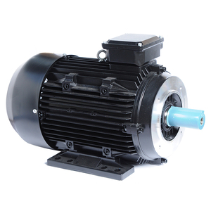 Motor de Inducción Trifásico IE4, 132 mm, 7.5KW, Protección IP55, Aplicaciones para Montacargas, Bobinado de Hilo, Molinos de Arroz, 380V - Product Image 5