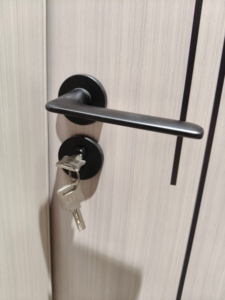Puerta Interior Plana de Aluminio Impermeable para Uso en Interiores, con Diseño Moderno y Acabado de Superficie para Sala de Estar y <span class=keywords><strong>Hotel</strong></span> - Product Image 6