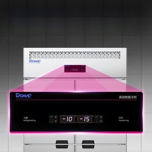 ตู้แช่แข็งแบบตั้งตรงขายดีสำหรับเก็บอาหารในครัวร้านอาหาร: อุปกรณ์เชิงพาณิชย์สแตนเลส 4 ประตูสำหรับแช่เนื้อแบบแบทช์ - Product Image 2