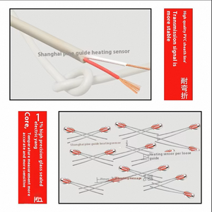 נירוסטה בדיקה 2-תיל גמיש pt100 חיישן טמפרטורה תרמיסטור ntc, שבב באיכות גבוהה - Product Image 5
