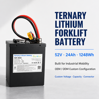 Pack de batteries lithium-ion personnalisé 52V 24Ah 1248Wh avec cellules NCM et BMS intelligent pour vélos électriques et trottinettes électriques