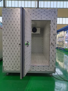 Chambre froide mobile personnalisée, chambre de congélation +10 ℃   à -35 ℃   pour les produits de la mer et la viande surgelés - Product Image 1