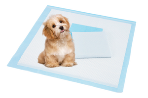 S-XL Fabrik Großhandel Welpen Training <span class=keywords><strong>Pads</strong></span> Einweg Hund Under pad 3D Oberfläche biologisch abbaubare Welpen <span class=keywords><strong>Pads</strong></span> - Product Image 4