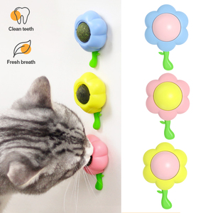 Nouveau jouet pour chat 2026 : Balle de cactus en ABS comestible, anti-anxiété, pour chatons, nettoyage des dents - Product Image 1