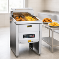 Baoding Gewerbliche Elektrische Fritteuse mit Ölschmelzfunktion, Ablassventil, Lebensmittelechter Edelstahl, 6kW/9kW Leistung, Multispannung 1
