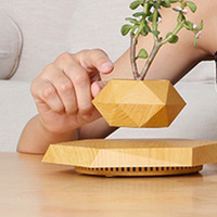 FP059 Lévitation Magnétique Bonsaï Plante Flottante En Bois Pots De Lévitation Magnétique Pour Plantes Lévitation Pot De Fleur