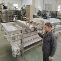 Hete verkoop Fruit & Groente Hetelucht Droogmachine met Motor SUS304 RVS Continue Band Dehydrator 500kg/u Capaciteit