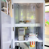 Distributeur de Popcorn Entièrement Automatique Style Théâtre, Fournisseur d'Usine, Unité de Distribution Commerciale de Popcorn 3 Saveurs pour Bars et Divertissements