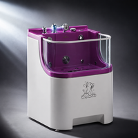 Baignoire pour chien en acrylique transparent Dpbathe, design minimaliste moderne pour la décoration de salon contemporain