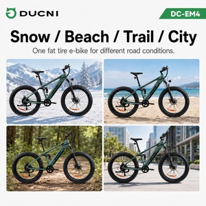 48V 500W Fatbike E-Bike für Stadt, Berge, Schnee und Strand DC-EM4 DC-EM4 - Product Image 4