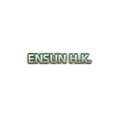 Ensun Industrial Co., Limited logo