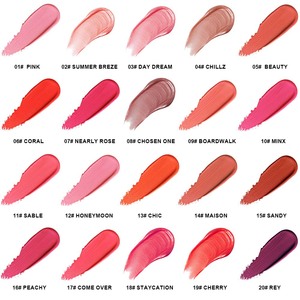 Rubor Líquido OCHAIN de 20 Colores, Logotipo Personalizado, Cobertura Versátil, Resistente al Agua, al por Mayor para Mujeres - Product Image 4