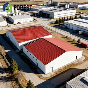 Puerta Enrollable Automática, Edificio de Acero Personalizado para Procesamiento en Indonesia, Almacén Metálico de Techo Transparente con Panel EPS, Europa - Product Image 1