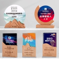 Souvenir Offre Spéciale Business Award Sublimation Crystal Trophy Honor Plaques en bois vierges de luxe Trophées en cristal en bois personnalisés