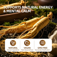 Sachets de thé à la racine de ginseng OEM personnalisés, mélange de ginseng sans caféine, thé de marque privée Jiaoming pour la vitalité quotidienne des hommes