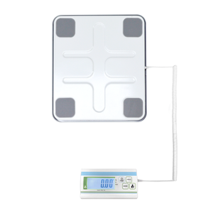 Nueva llegada Balanza de envío digital resistente Piso de acero inoxidable Balanza de plataforma de peso mecánico industrial Pantalla LCD OEM - Product Image 4