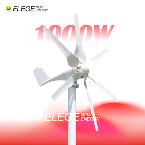 Elege 12V 24V 1000W Sistema Eólico Horizontal de 6 Aspas para el Hogar, Diámetro de Rotor Personalizable, Generador de Alta Velocidad del Viento, Certificado CE 1 - Product Image 4
