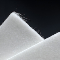 Géotextile non tissé aiguilleté en polypropylène anti-UV pour projets de drainage et de protection des pentes