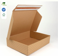 Boîte d'expédition personnalisée avec logo, écologique, à fermeture éclair et bande déchirable, en carton ondulé recyclable, en forme d'avion, pour promotion e-commerce