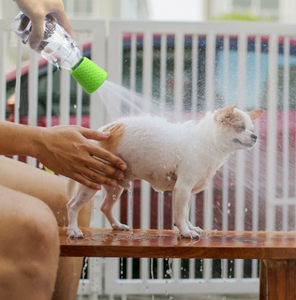 Tête de pulvérisation en silicone pour bouteille d'eau pour animaux de compagnie, accessoire de douche portable, remplacement de la buse pour petits animaux - Product Image 2