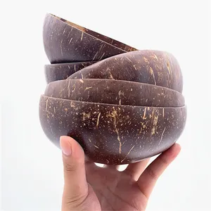 Bol gravés en coquille de noix de coco, 100% pièces, meilleur prix pour les plantes, ensemble de cuillères artisanales avec support personnalisé