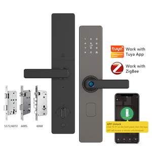 Khóa cửa thông minh bằng vân tay sinh trắc học kỹ thuật số Eseye Wifi Tuya TTLock cho cửa gỗ phòng ngủ, khóa cửa thông minh trong nhà - Product Image 1