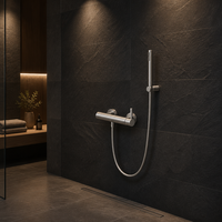 Ensemble de douche complet en acier inoxydable 316 sans plomb pour marina commerciale, système de bain mural apparent brossé avec robinets de bidet