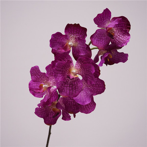 BF-OD11 Fleurs d'orchidées artificielles Phalaenopsis <span class=keywords><strong>Vanda</strong></span> <span class=keywords><strong>bleu</strong></span>-violet à 7 têtes, toucher réel, tige unique, vente en gros - Product Image 3