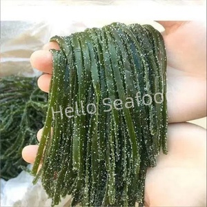 Nouilles de varech salées de qualité supérieure algues naturelles riches en fibres d'iode pour une alimentation saine - Product Image 6