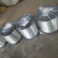 SS-Draht 410 Edelstahl draht mit einem Durchmesser von 0,13mm für Küchen reiniger