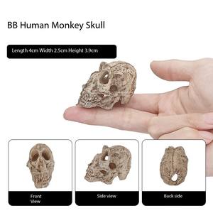 Dinosaurus Hars Schedel <span class=keywords><strong>Aquarium</strong></span> En <span class=keywords><strong>Aquarium</strong></span> Ornamenten, Waterplanten Landschapsarchitectuur Decoratie Huisdier Versieren Accessoire - Product Image 4