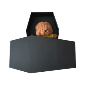 कुत्तों के लिए कस्टम आधुनिक पालतू यूर्न व्यक्तिगत चित्र कार्डबोर्ड कैसकेट - Product Image 5