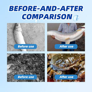 Complément Alimentaire Aquatique Écologique pour <span class=keywords><strong>Foie</strong></span> Hepa Guard - Protection <span class=keywords><strong>Foie</strong></span>-Pancréas - Additifs Alimentaires - Product Image 6