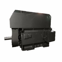 Moteur asynchrone triphasé à anneau collecteur haute tension YRKK500-12 250kW 10kV 489 tr/min IP54 50Hz Efficacité IE3 pour l'exploitation minière