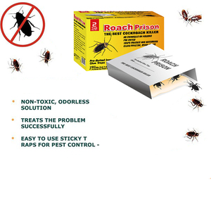 Trampas desechables no tóxicas para pegamento de cucarachas, insectos, hormigas, cucarachas, insectos, prisión, Control de plagas, asesino para <span class=keywords><strong>moscas</strong></span> y cucarachas - Product Image 4