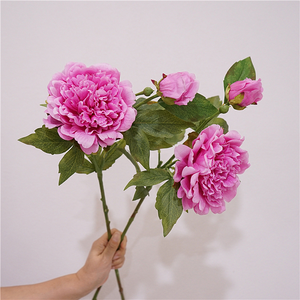Bunga <span class=keywords><strong>Peony</strong></span> Buatan Berkualitas Tinggi 2 Kepala dari Lateks, Sentuhan Realistis, Warna Putih Pink, untuk Dekorasi Pernikahan, Rumah, dan Pesta - Product Image 3