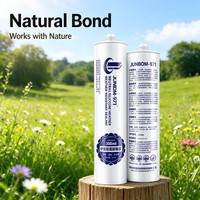 Scellant silicone pour toiture SANVO, durcissement neutre, 300 ml, résistant aux intempéries, résistant au vieillissement, résistant aux fissures, emballage pour la construction, haute adhérence