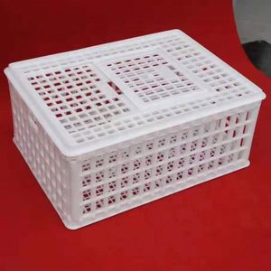 Sıcak satış en ucuz hayvan kafesleri saf plastik canlı kuşlar tavuk çiftliği için tavuk taşıma kasaları - Product Image 4