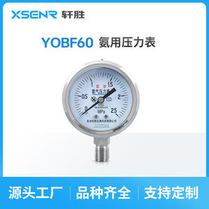 Manómetro de Oxígeno Suzhou Xuan Sheng 2.5Mpa de Acero Inoxidable con Conexión Roscada Analógica para Gas de Alta Pureza - Product Image 2