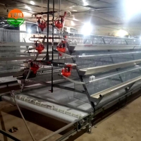 500 Oiseaux un type de système d'élevage de volaille en cage à couches entièrement automatique pour le marché tanzanien
