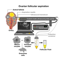 Machine à ultrasons doppler de couleur animale professionnelle en Chine avec capteur d'ovule de sonde OPU pour équipement de FIV d'élevage de vétérinaire de laboratoire