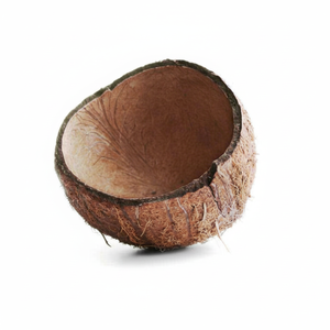 Coquille de noix de coco brute de qualité supérieure pour la décoration, l'artisanat et l'industrie du charbon de bois - Product Image 1