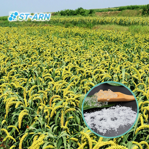 土壌安定化ポリマー ソリッドレインソコ ポリカリウムアクリレート ハイドロゲル 植物栽培用 - Product Image 3