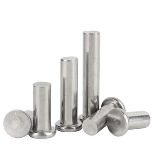 Rivet semi-tubulaire à tête ronde en acier inoxydable de grade 6, finition brillante, M3-M10 DIN 7338 B - Product Image 1