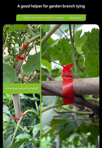 Máquina Atadora de Plantas, Herramienta Tapener para Jardinería, para Frambuesas, Tomates, Vegetales Trepadores, Grapadora para Atar Plantas - Product Image 4