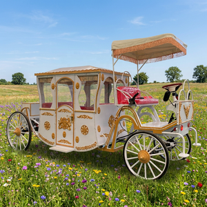Nuevo Diseño de Carruaje Eléctrico Real, Carruaje Real para Paseos Turísticos, Carruaje Victoria de Alta Calidad, Productos de Carruajes Elegantes - Product Image 3