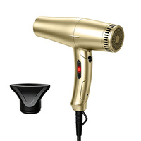 Sèche-cheveux professionnel à ions négatifs avec moteur DC sans balais 2100W, température et vitesse réglables, sèche-cheveux pour barbier